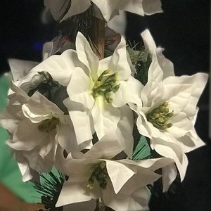 Meet your Posher, Juana